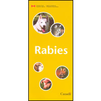 rabies pamphlet