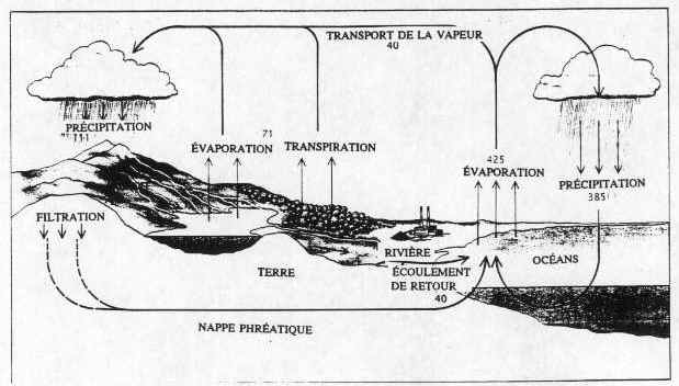 BP333fig1-f.jpg (30295 bytes)