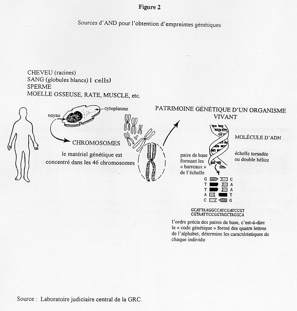 BP443F-fig2.bmp (539278 bytes)