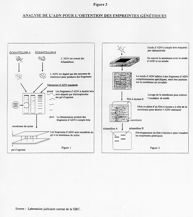 BP443F-fig3.bmp (593118 bytes)