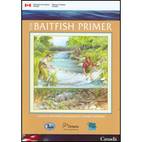 The baitfish primer : a guide to identifying and protecting